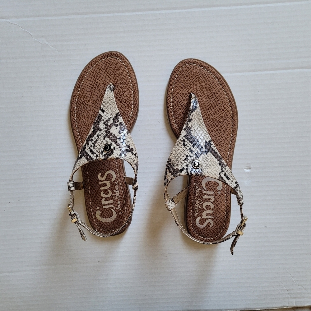 Circus sandals Sam Edelman shoes Carolina style snake skin pattern size 7 new